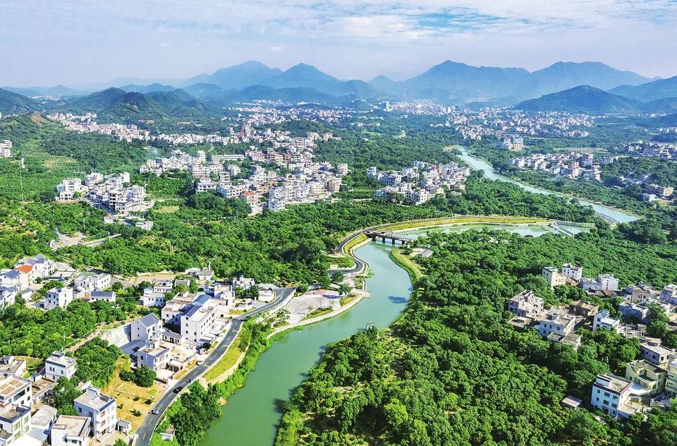 高州根子河碧道大大改善了当地的生态环境。茂名日报社全媒体记者 丘立贺 摄