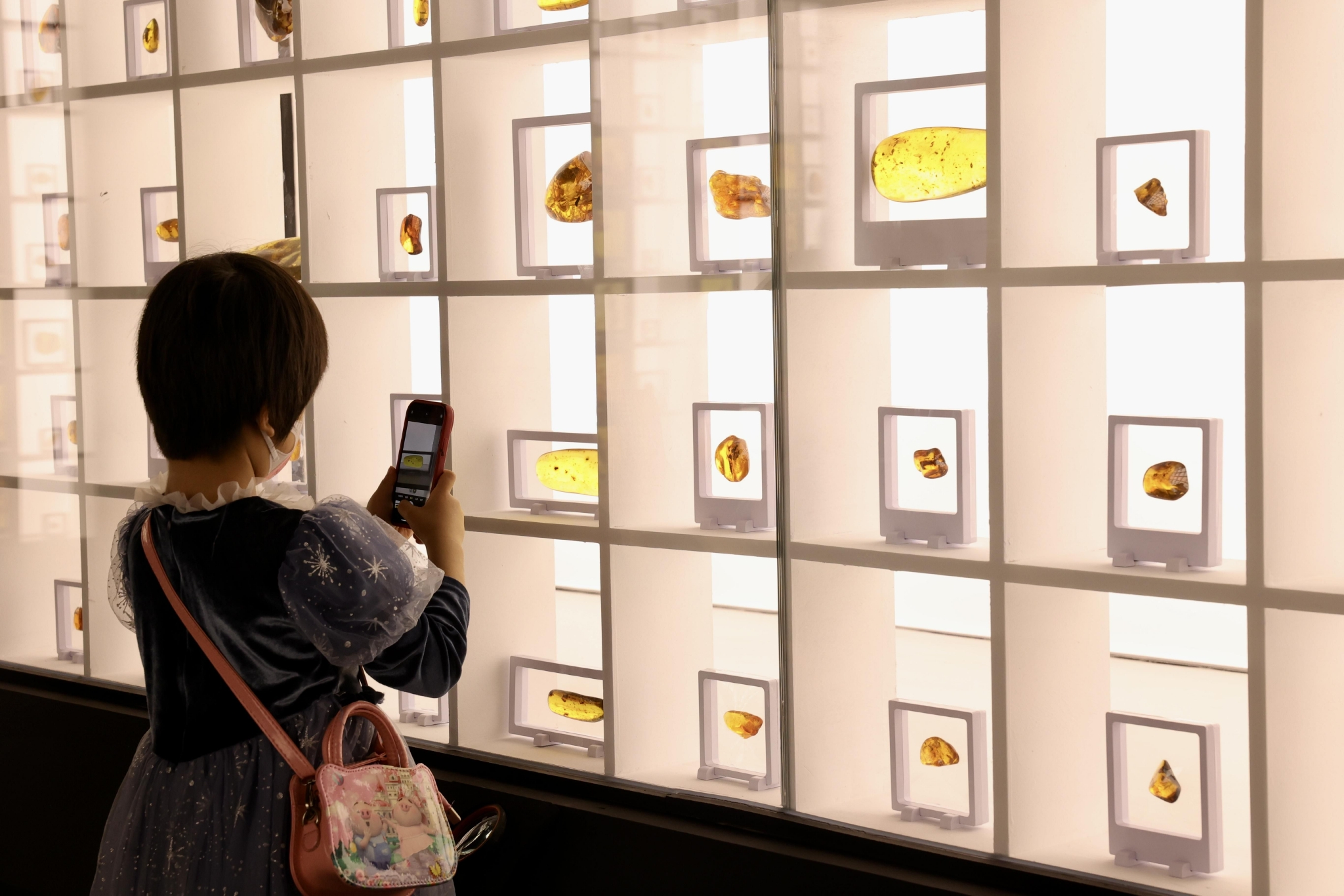 深圳市宝安区世纪琥珀博物馆,佛山市禅城区知隐博物馆等多家单位协办