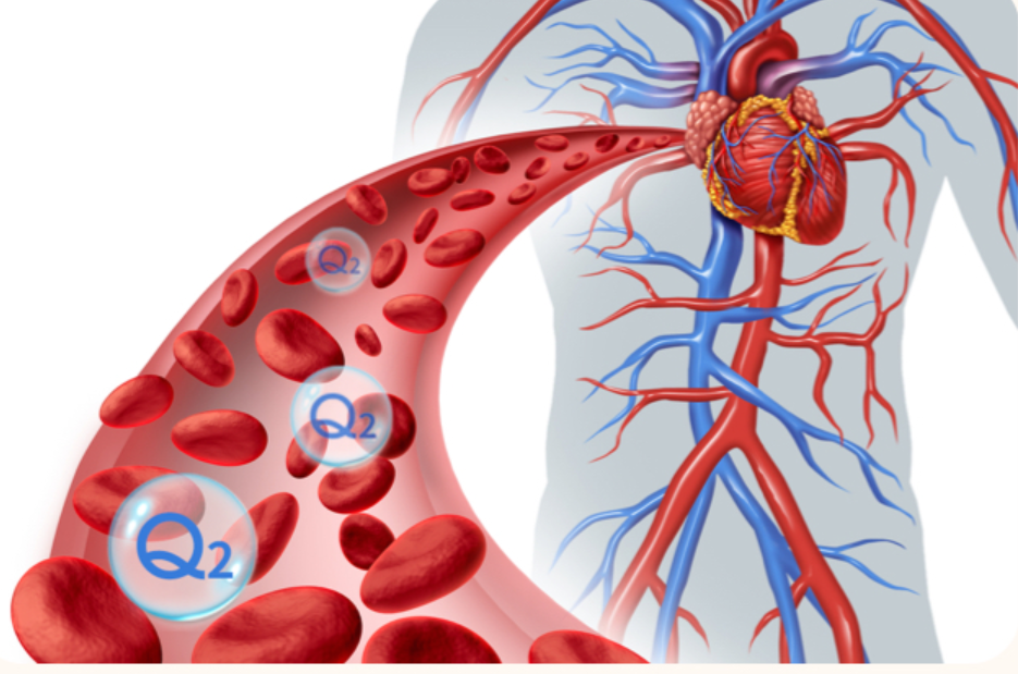 指甲式血氧仪怎么看指夹式mini血氧仪！无创无痛，8s速显，老人也好操作_https://www.jmylbn.com_新闻资讯_第3张