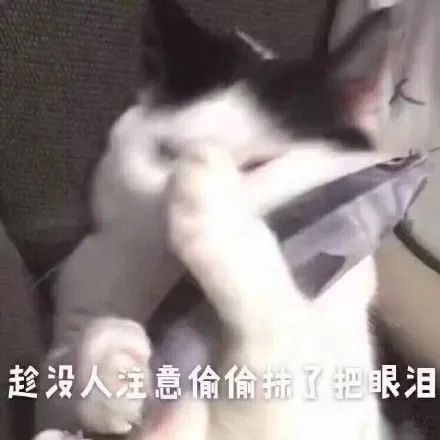 《三体》首播！为什么刘慈欣是中国科幻第一人休闲区蓝鸢梦想 - Www.slyday.coM