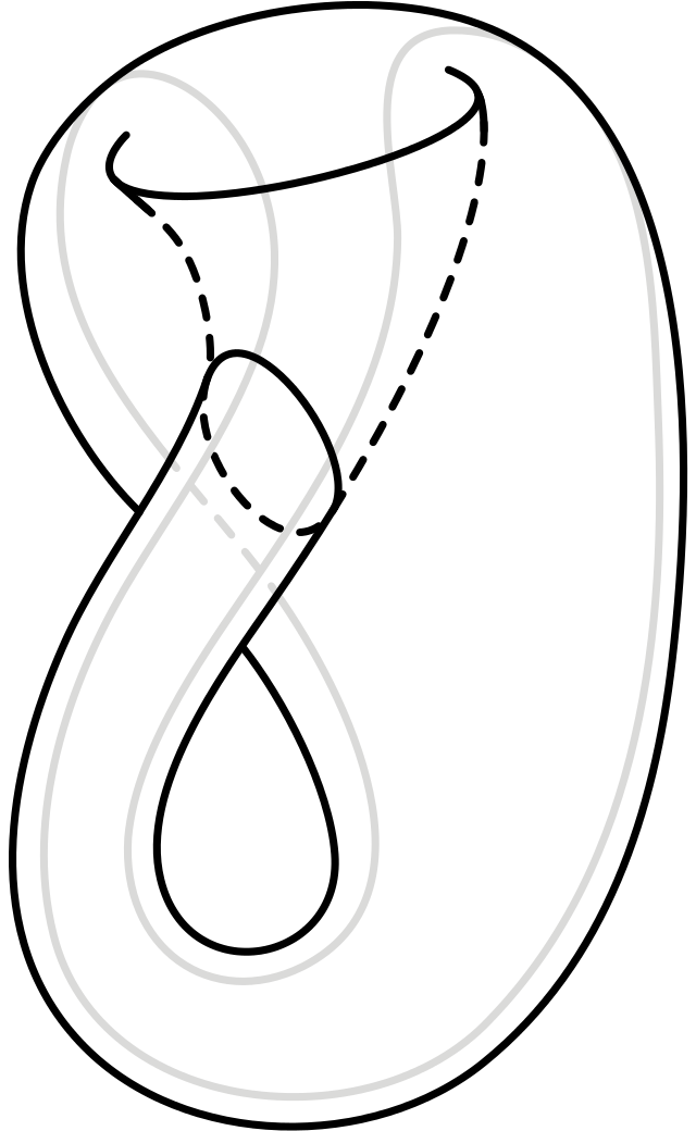 图 :克莱因瓶(klein bottle)