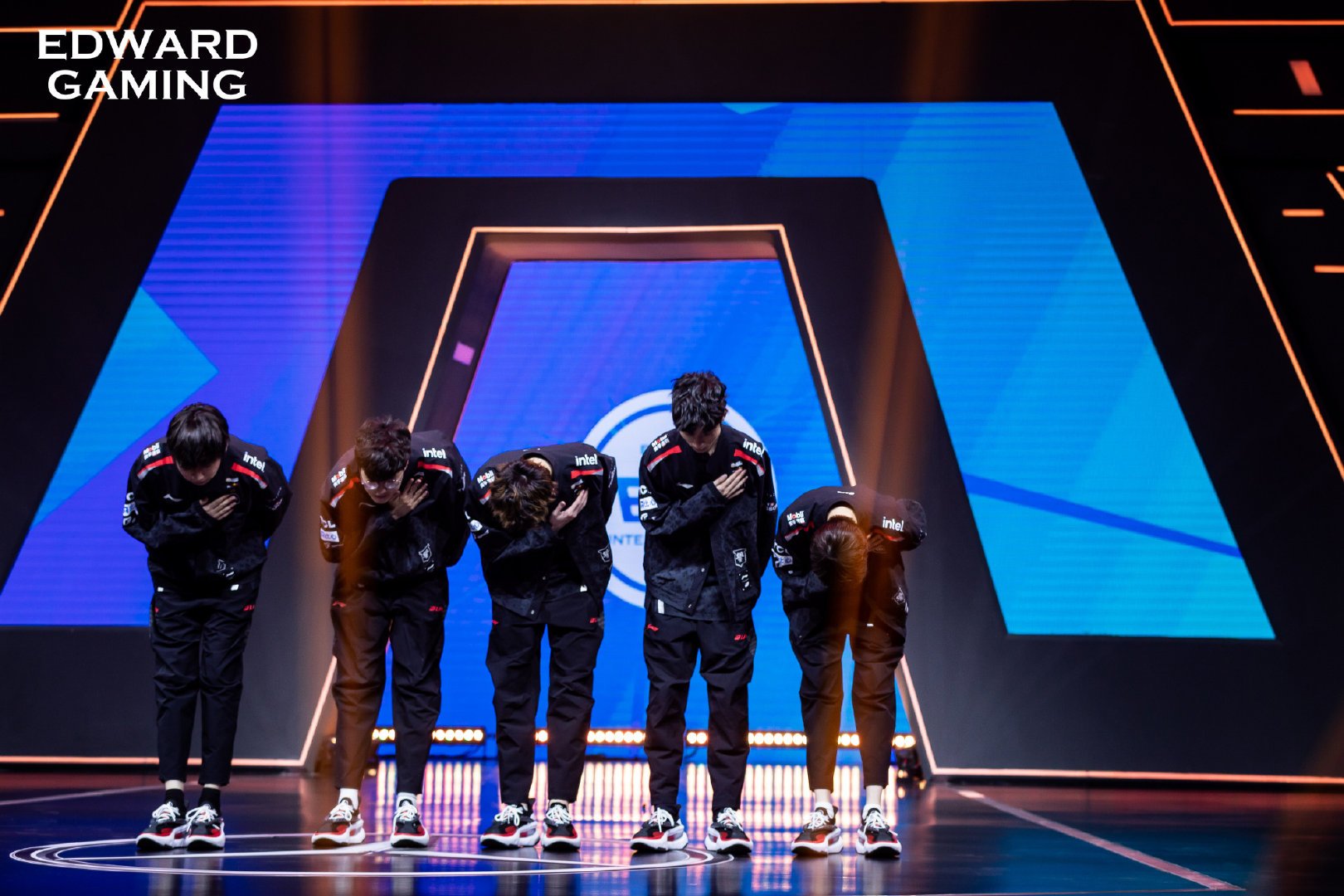 今日份的骑士礼|edg|we_新浪新闻