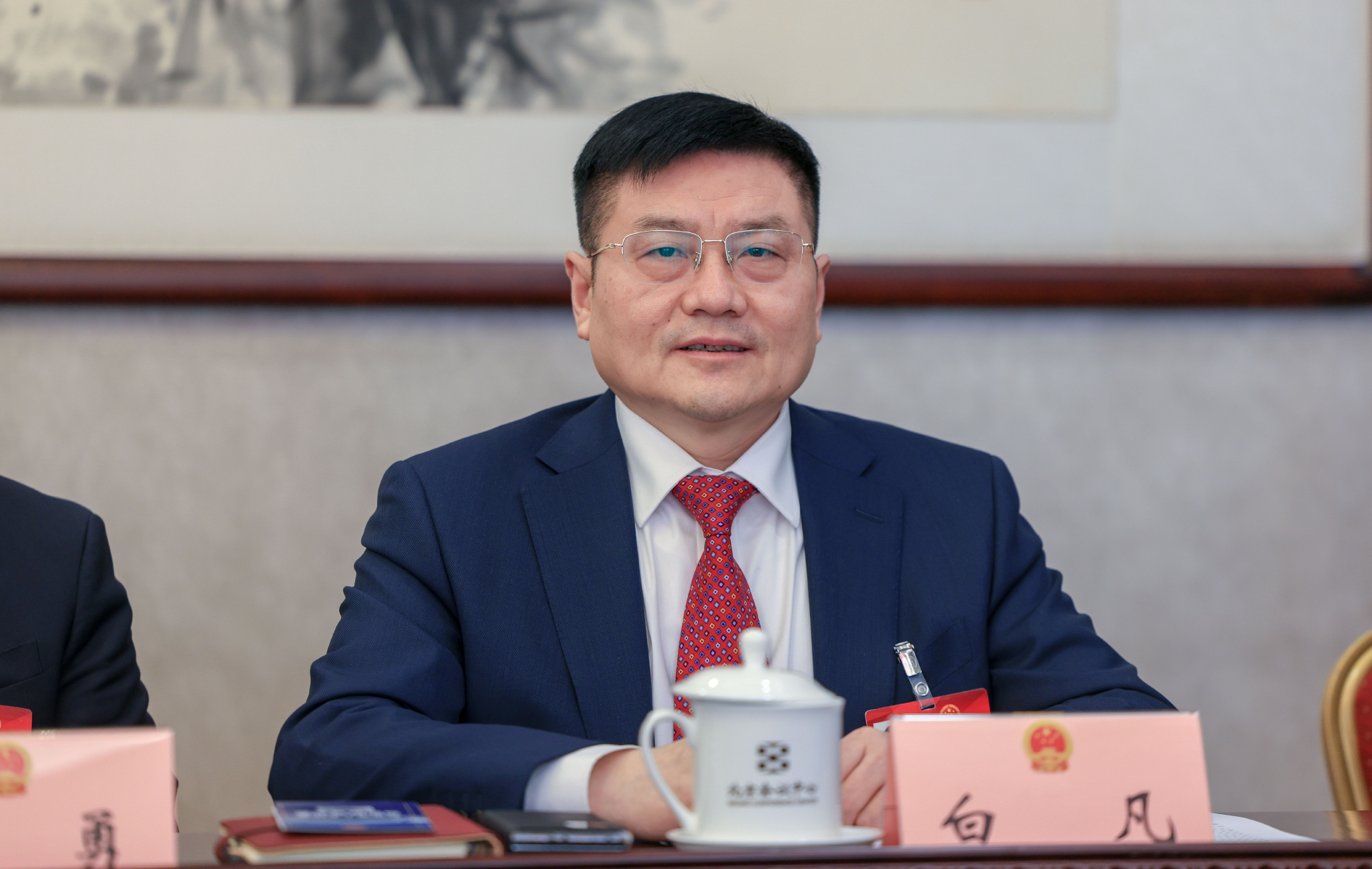 市人大代表,首旅集团总经理白凡