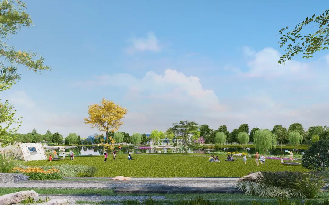 阳光草坪效果图