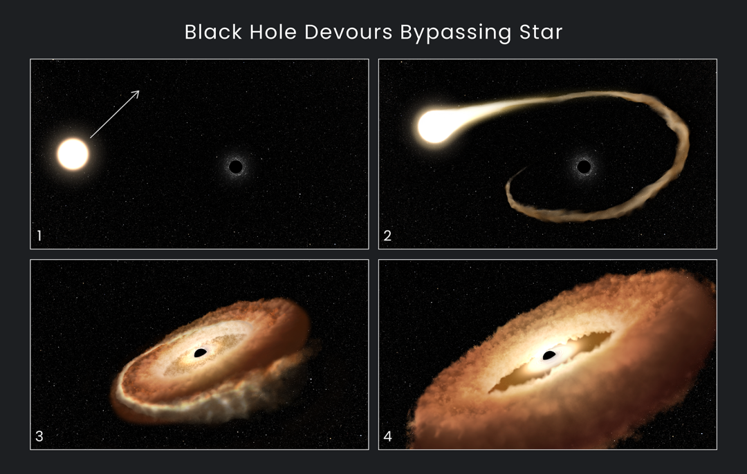 上述示意图展示了黑洞吞噬经过其附近的一颗恒星的过程。 来源：NASA