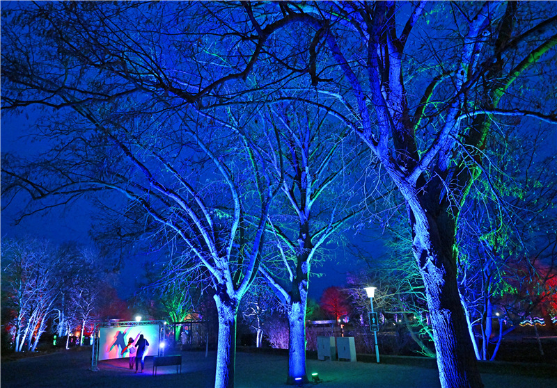 德国埃尔福特爱迦花园夜景迷人