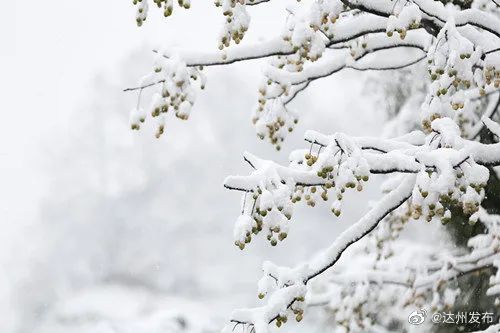 成都发布强降温黄色预警安全风险提示