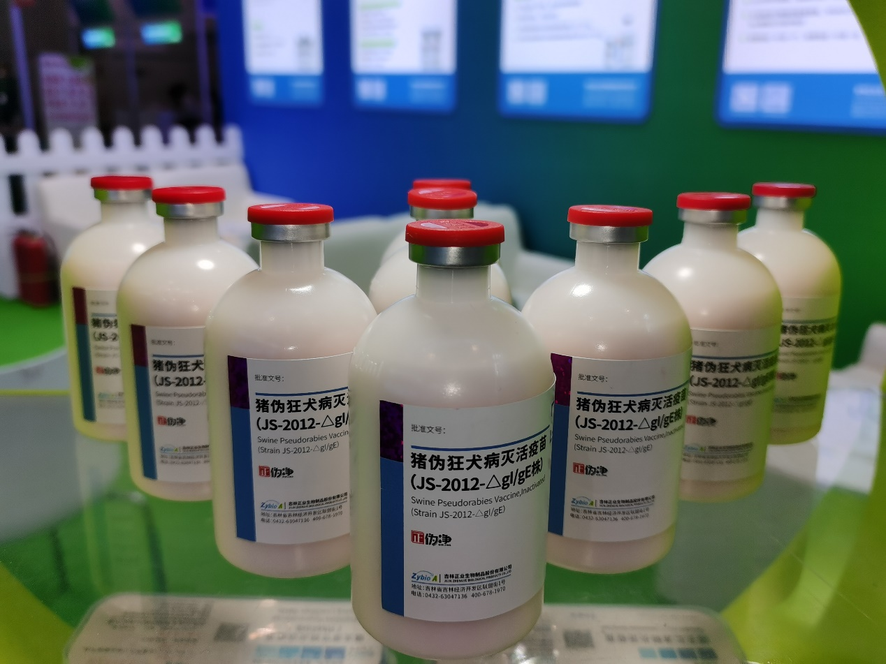 "猪伪狂犬病灭活疫苗(js-2012-△gi/ge株)".中国农科院供图