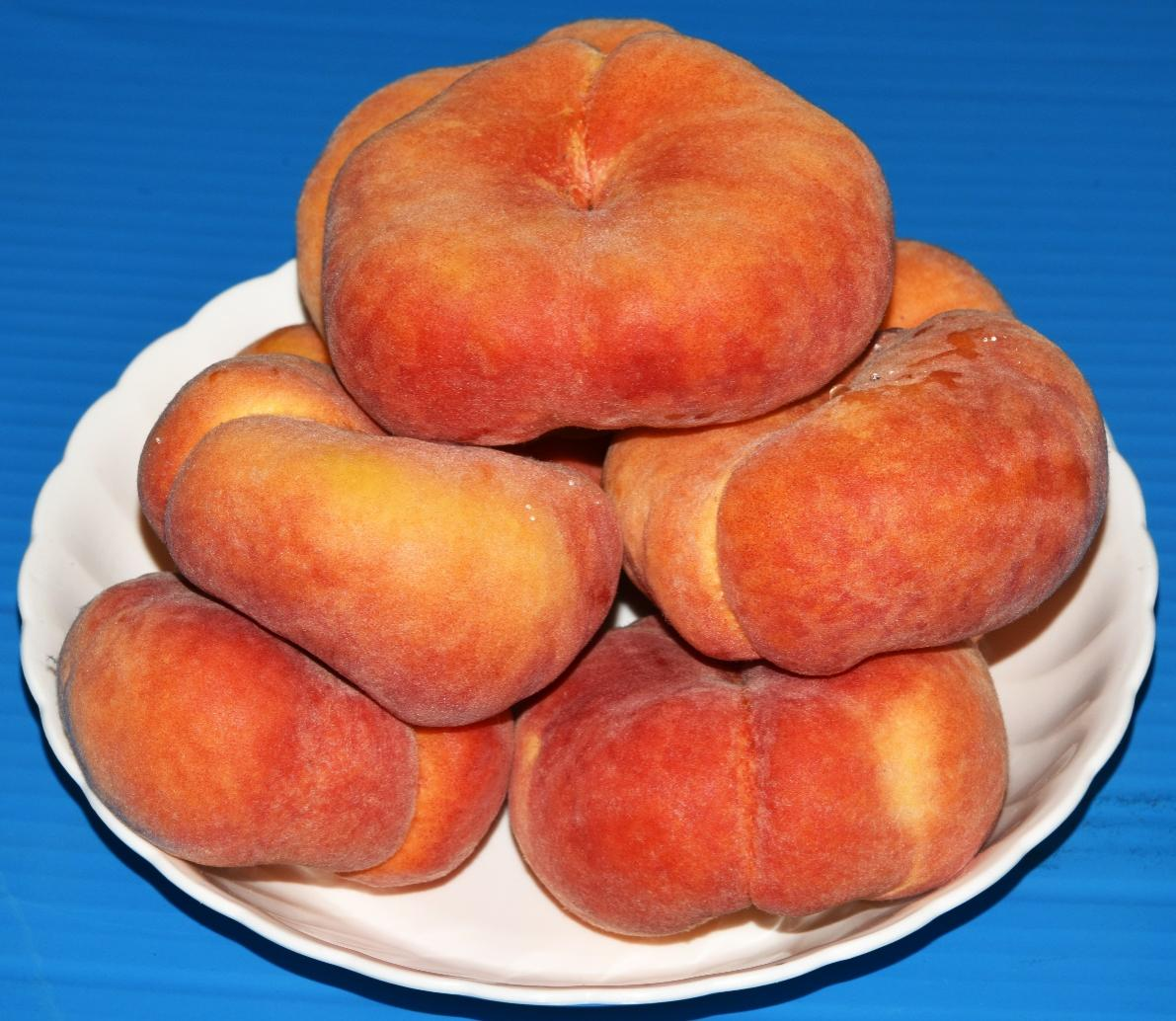 "中蟠桃11号"蟠桃.中国农科院供图