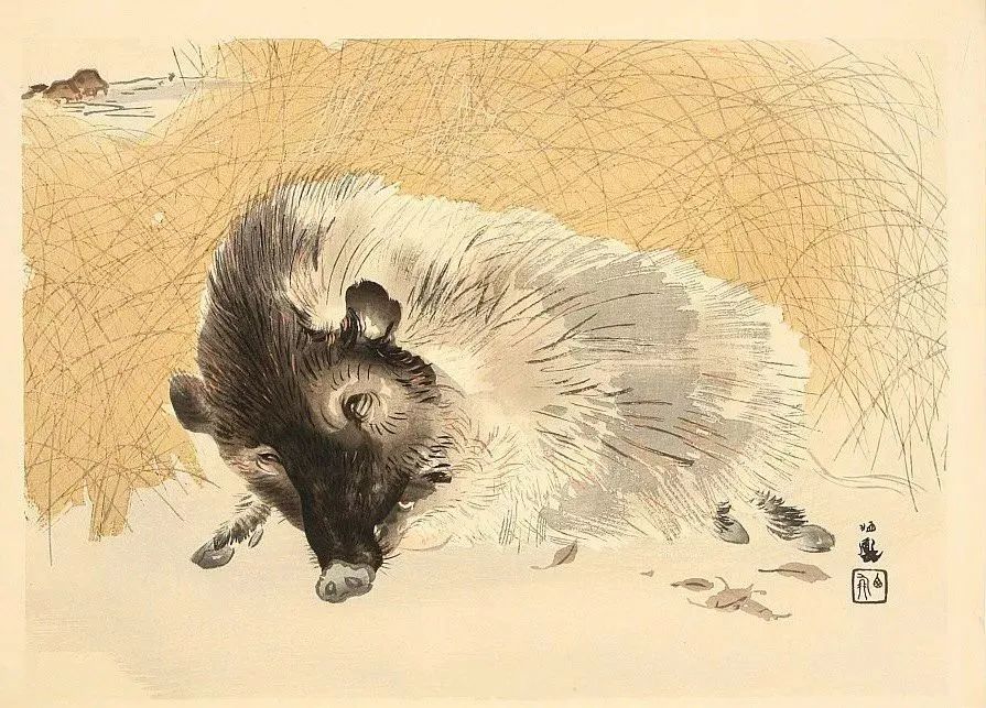 以野猪作为题材的浮世绘作品.