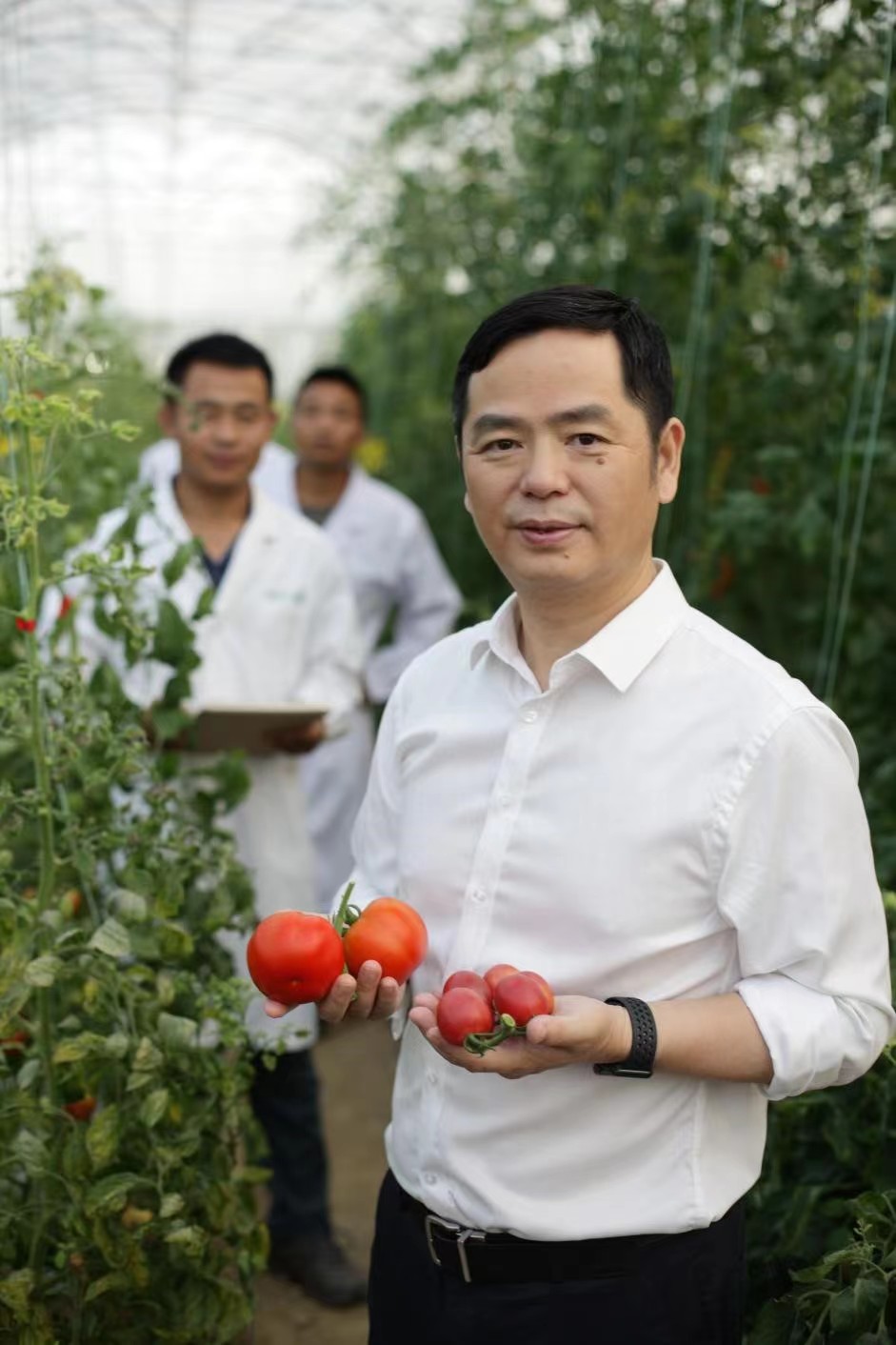 中国农科院供图