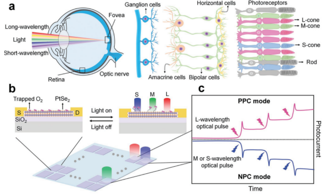 乐视网TV版怎么登录注册 芒果TV如何注册使用