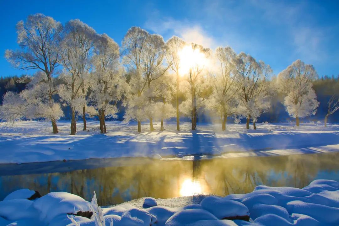 阿尔山冬日的哈拉哈河畔雾凇景观 ,吸引来很多游客.
