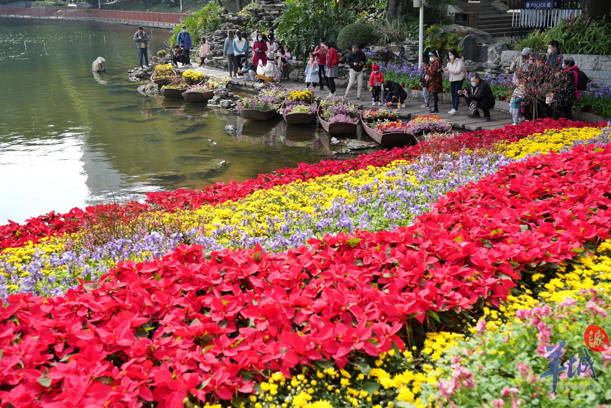 图集桃花花海渔舟唱晚花开美荔2023广州水上花市启动