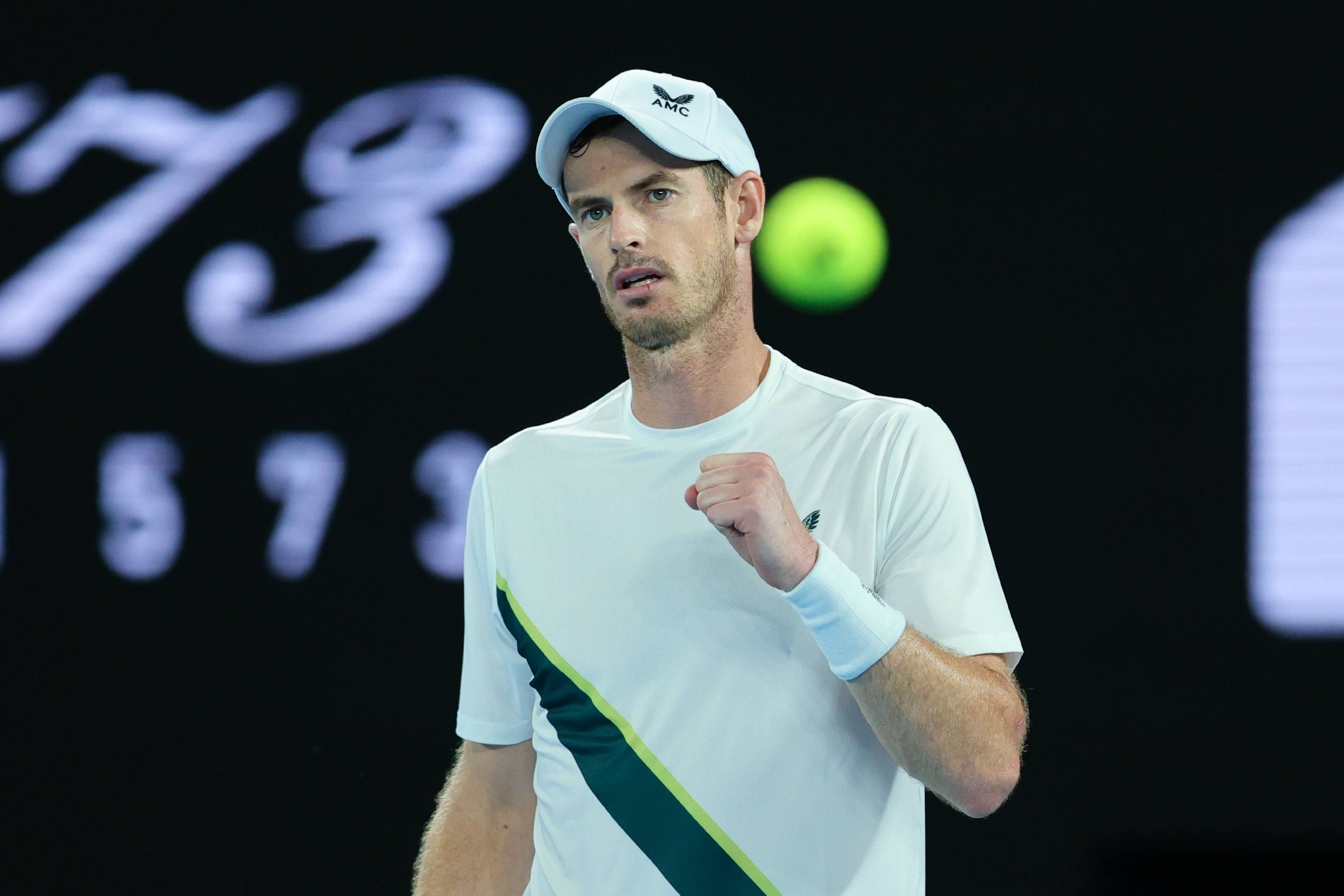 网球——澳网:穆雷晋级|西霸|穆雷|比赛_新浪新闻