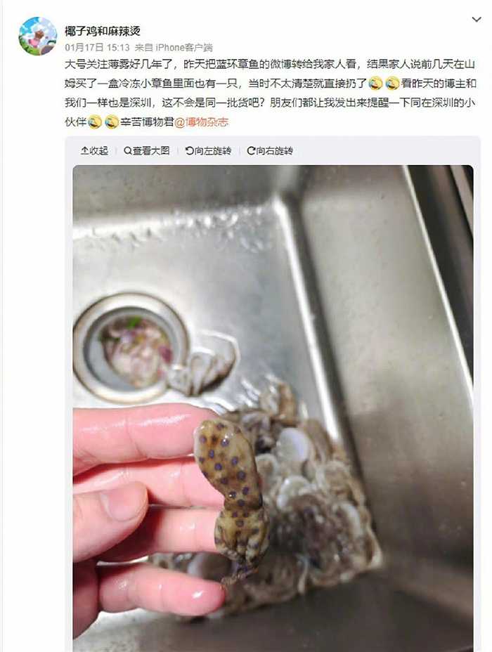 担心幼鸽家飞丢失，有几个小技巧可以减少幼鸽家飞丢失