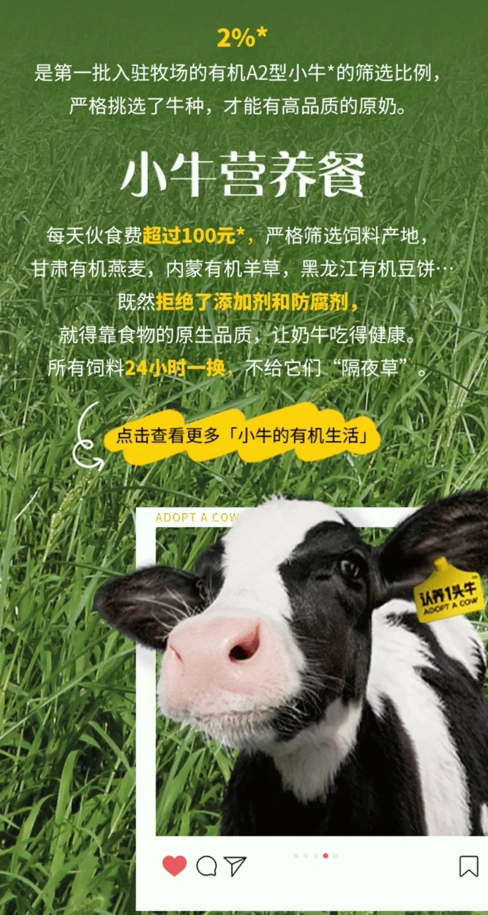 认养一头牛ipo悬了!