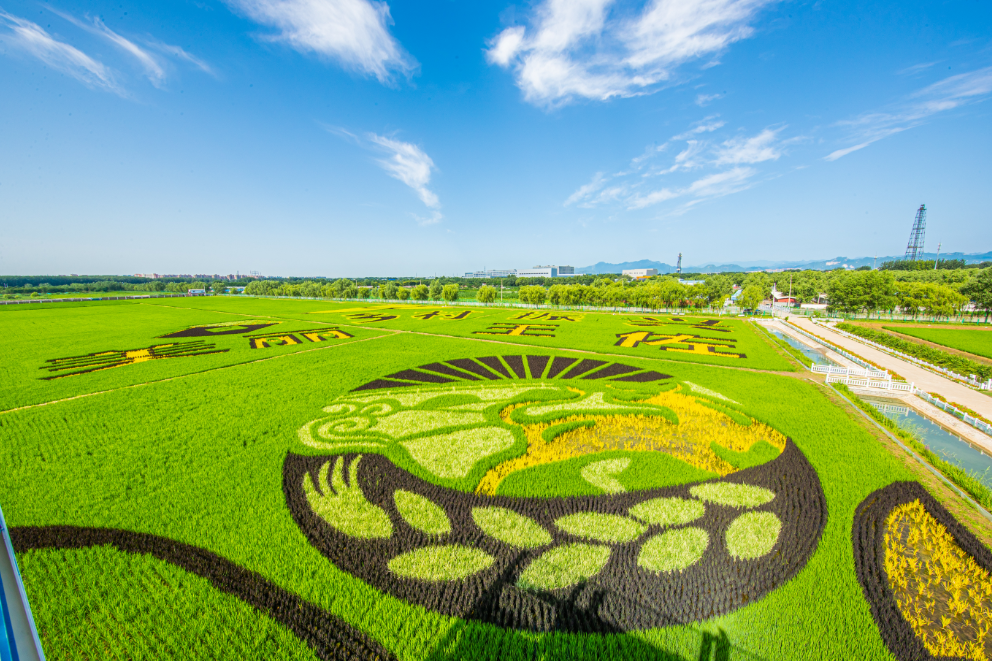 丰台区委书记王少峰:丰台站周边将建5公顷以上城市绿谷|王少峰_新浪