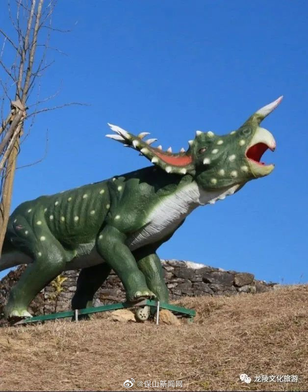 重磅!龙陵首家恐龙主题乐园震撼开园啦!|龙_新浪财经_新浪网