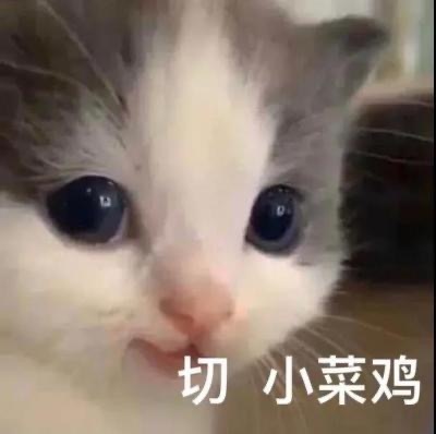 您有新的表情包，请注意查收 切，小菜鸡 啵 哈哈哈……|春游|爱情|年度|家族|幽默_新浪新闻