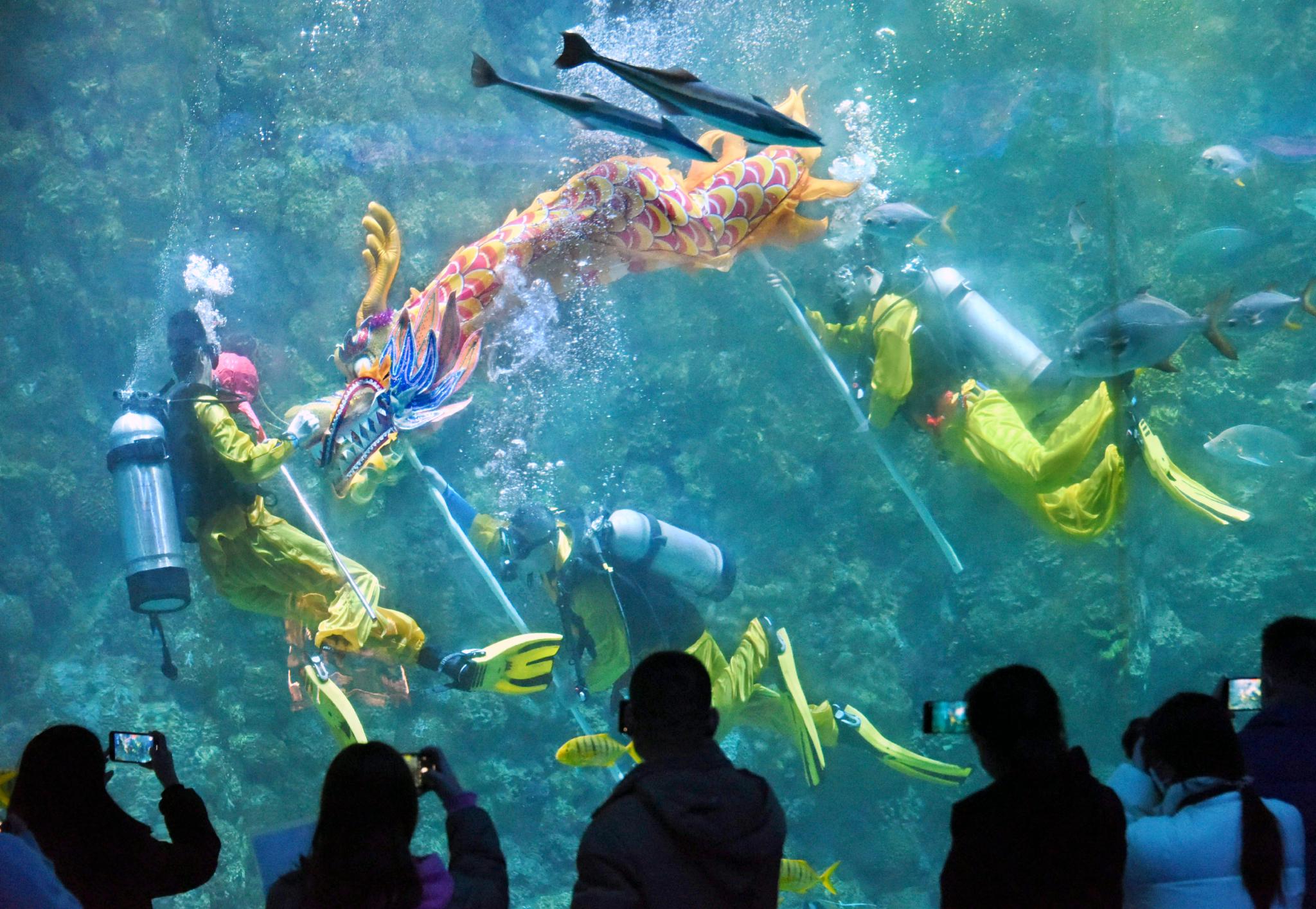 "海底舞龙"贺新春|春节|青岛市|极地_新浪新闻