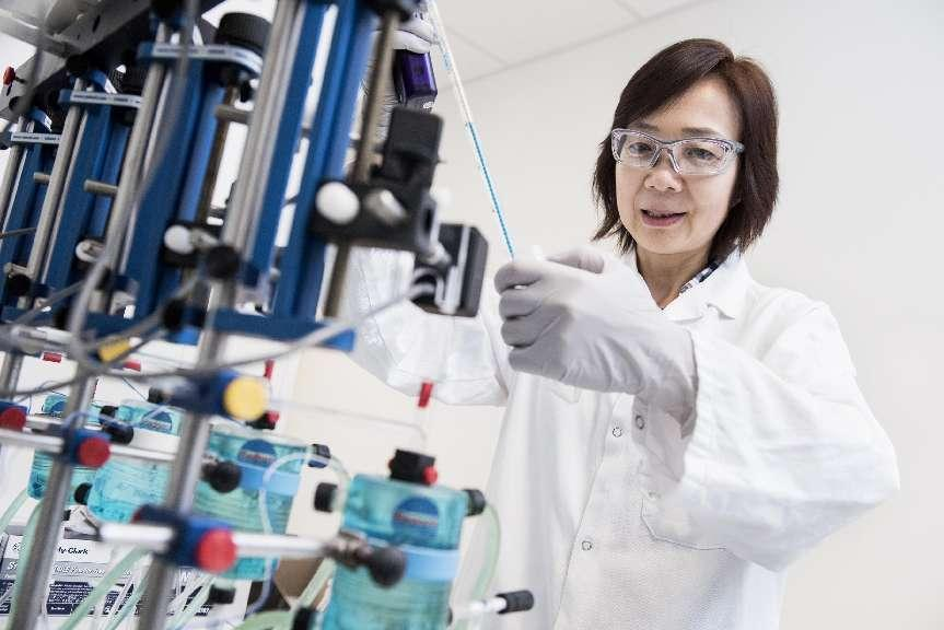 游戏cdk批发平台