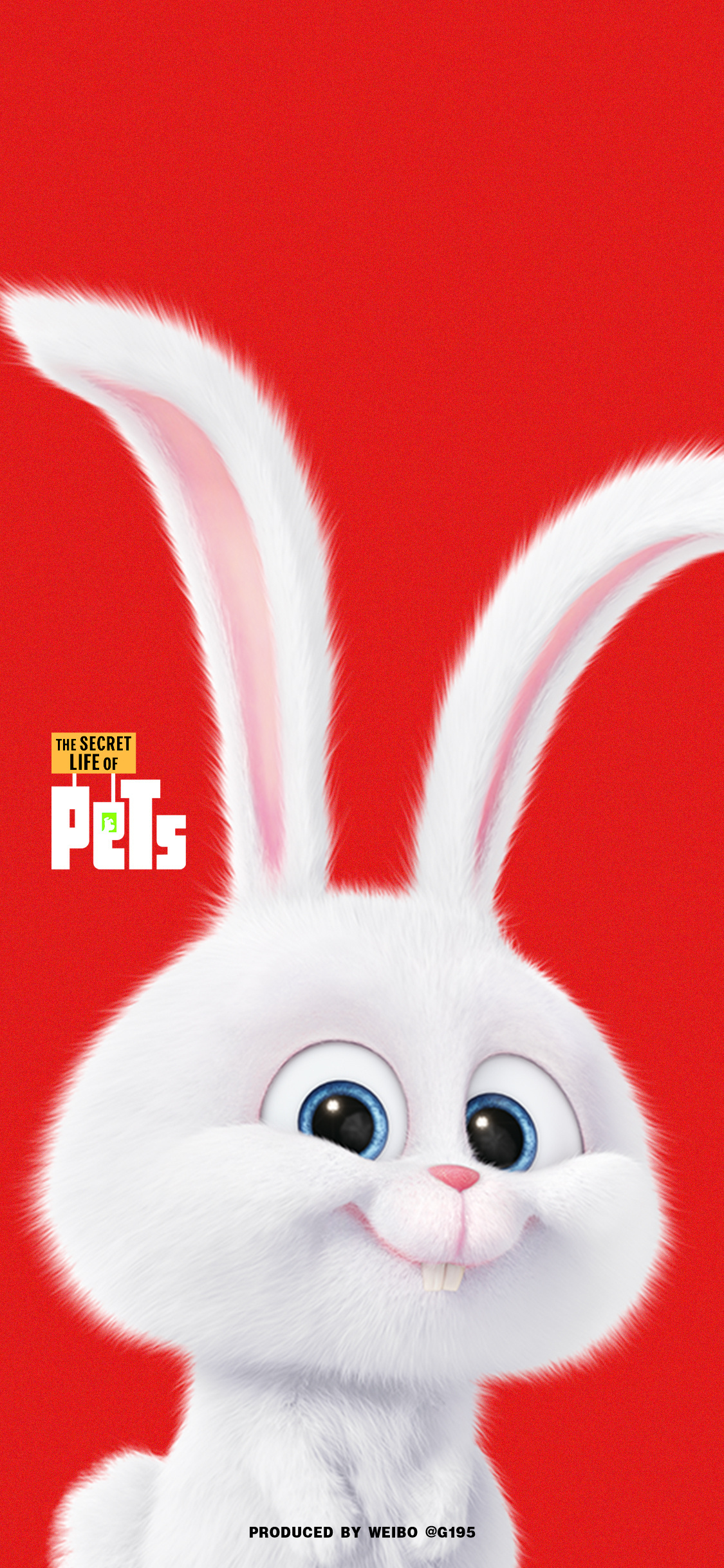 就要兔兔!|爱宠大机密_新浪新闻