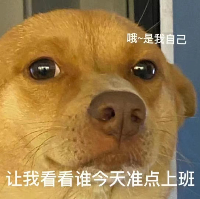 您有新的表情包,请注意查收 让我看看谁今天准点上班……|探头|年度|鸡|幽默|准备_新浪娱乐_新浪新闻