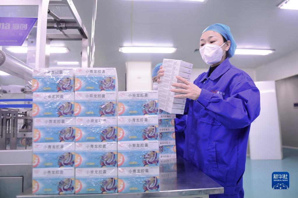 　　1月12日，在沈阳东陵药业股份有限公司，工人在包装小青龙胶囊。新华社记者 杨青 摄