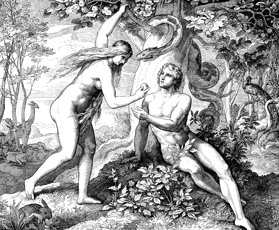 亚当和夏娃吃禁果