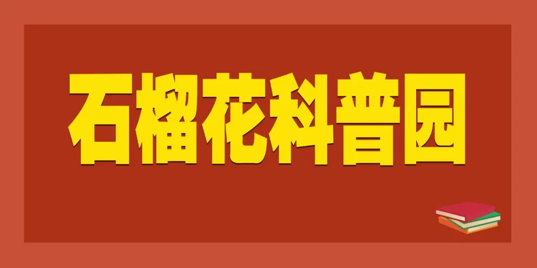 【石榴花科普园】关于德尔塔克戎、春运防护……春节前夕疫情热点问答