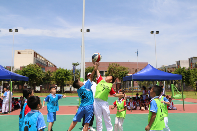 北京师范大学海口附属学校小学部学生参加学校"木铎杯"篮球比赛