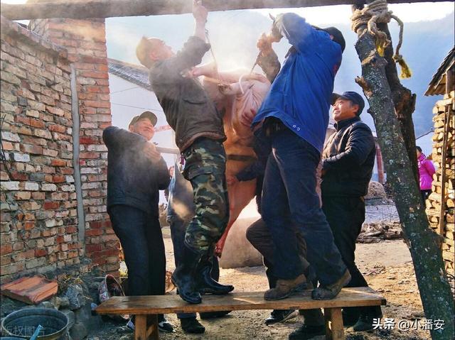 私售宰杀的年猪，违法获利0.58元，却被罚款10万元，田某冤不冤？