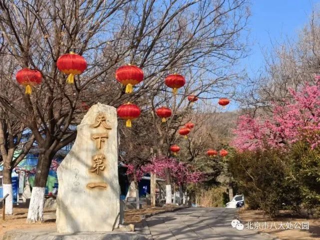 春节去哪儿 北京八大处庙会重启啦 春节 新浪财经 新浪网