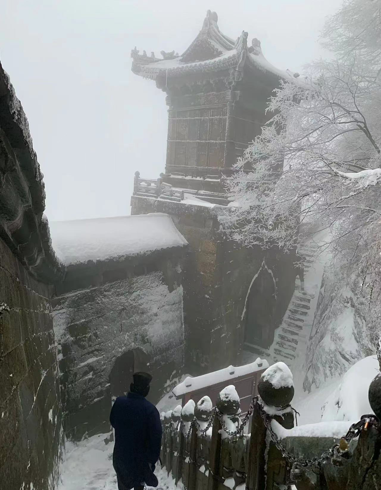 app软件介绍通用