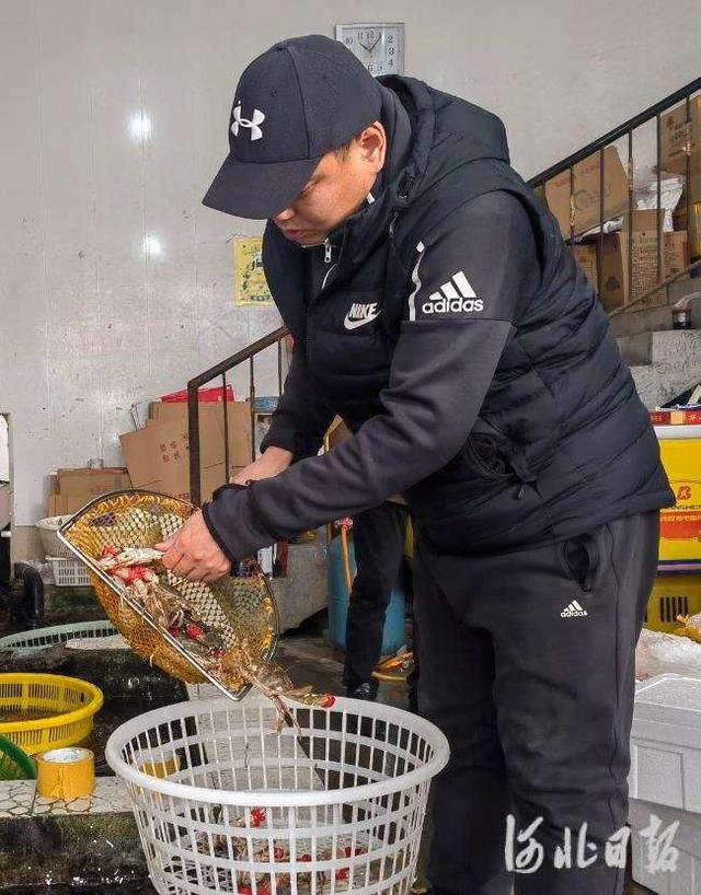 速递千万家——秦皇岛河东海鲜市场见闻|秦皇岛市|高铁|张阳_新浪新闻