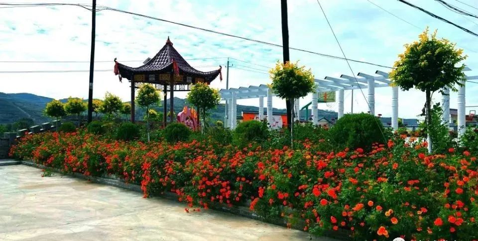 平凉市静宁县:乡村建设让群众生活更加美好