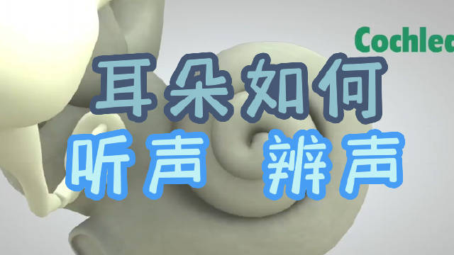 耳朵是如何听见声音的呢？一条视频告诉你_新浪新闻