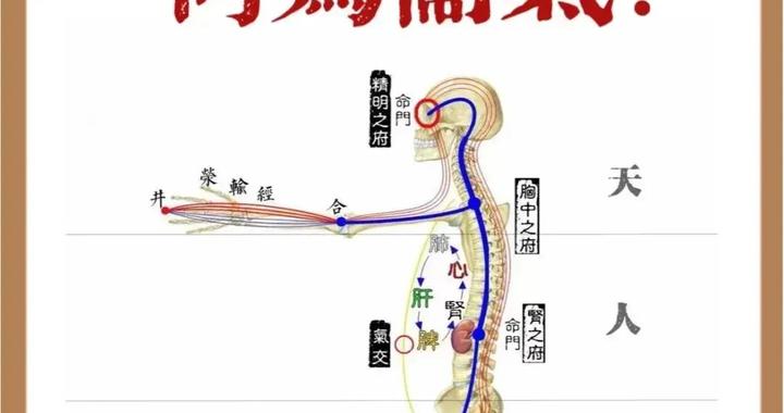 综合了解中医里的“气”|经络|血管|先行|气滞|关系_新浪新闻