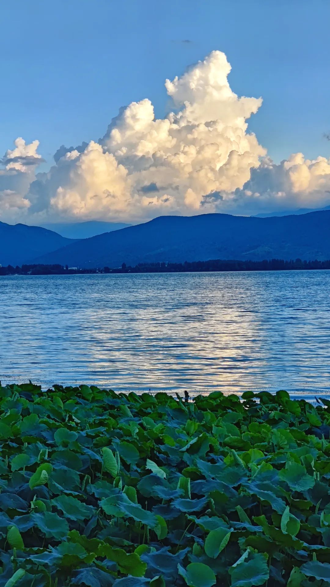 洱源茈碧湖孙浩摄
