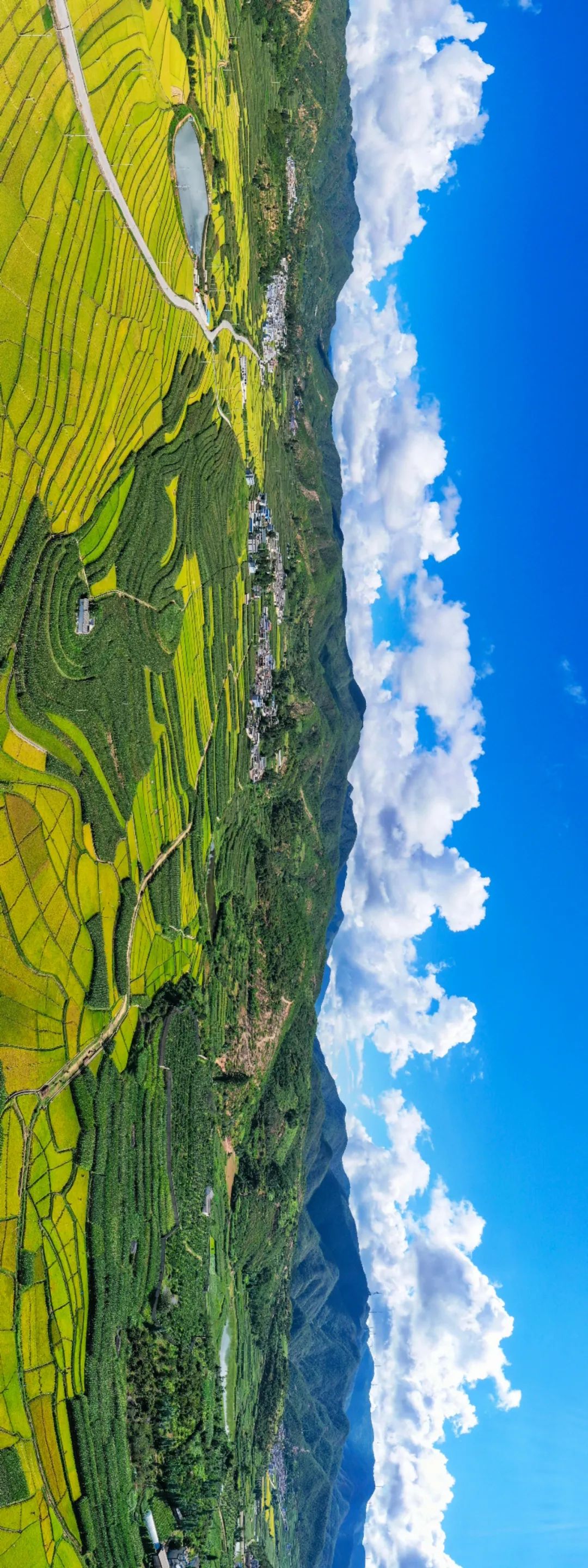 祥云县米甸镇&nbsp;徐翔&nbsp;摄