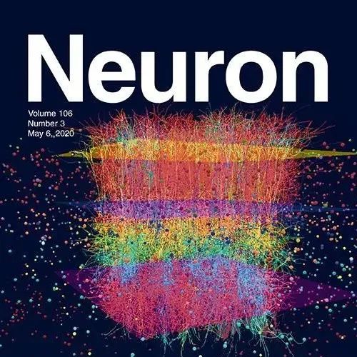 专访《神经元》期刊编辑：神经科学将走向何方？|生物学与医学|论文|大脑|泰德|患者_新浪新闻