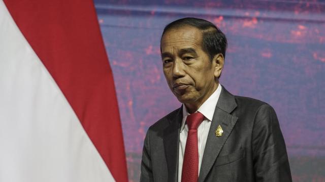 印度尼西亚总统佐科图片