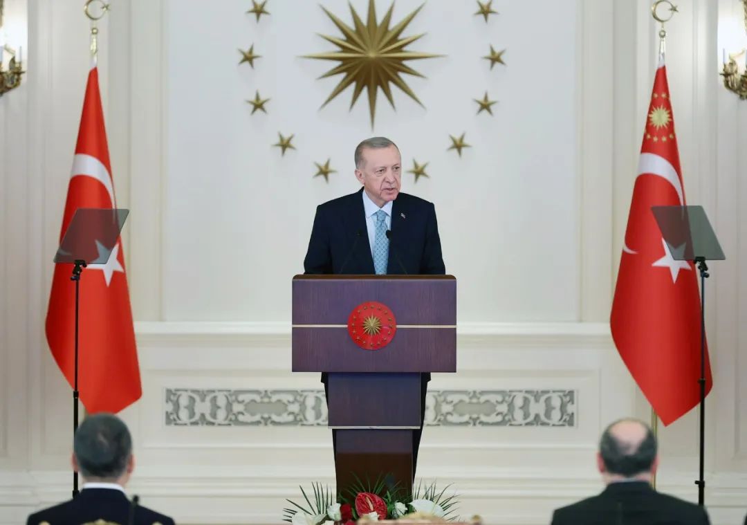 埃尔多安表态！不会&ldquo;开绿灯&rdquo;