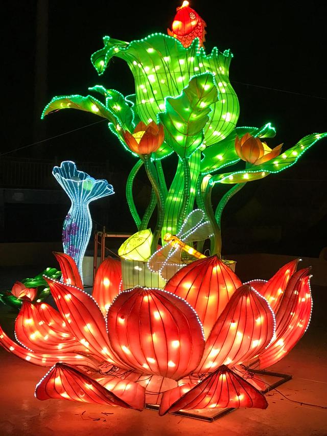 数千盏扬州花灯映亮河南|扬州市|民俗|灯彩_新浪新闻