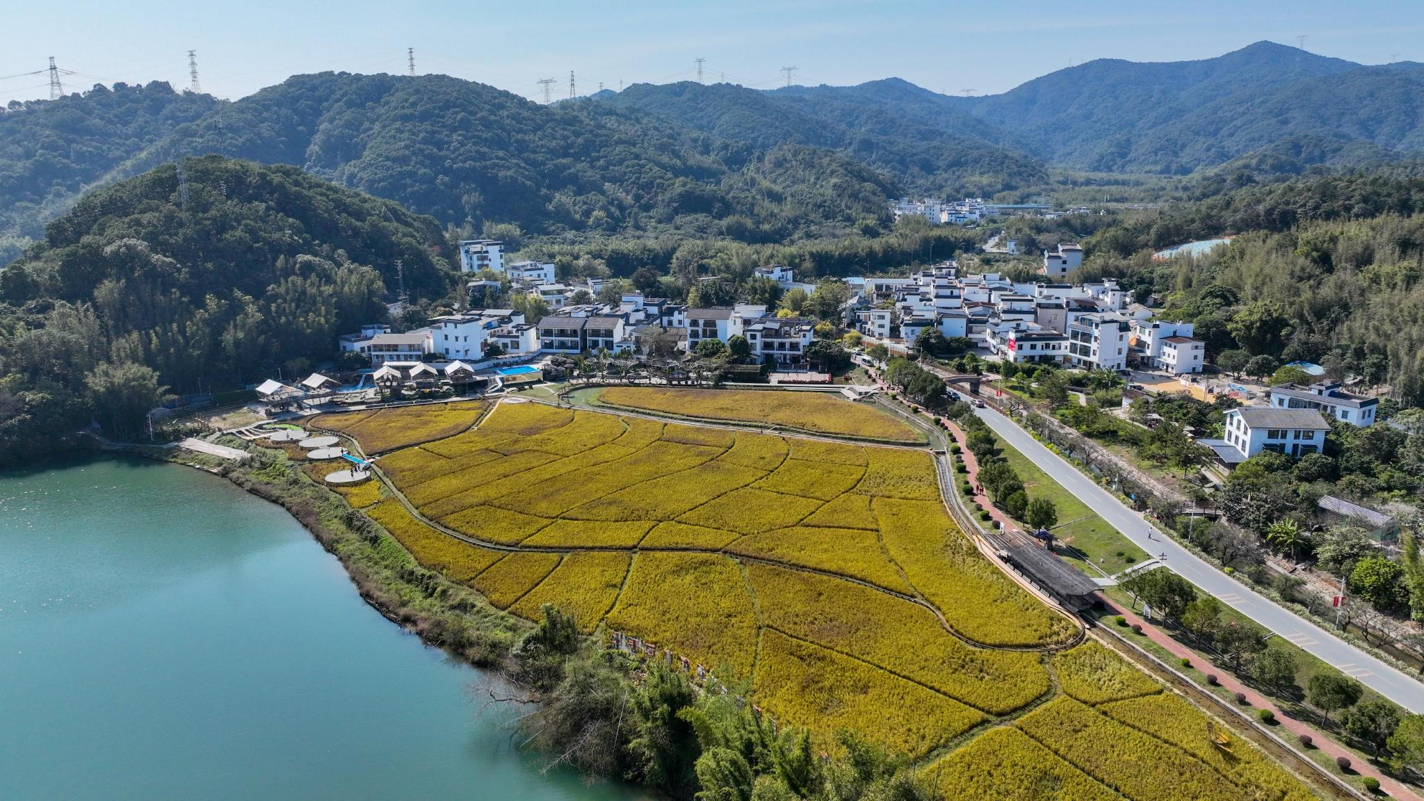 镇村齐振兴,体验美满“幸福年”|广州市|乡村振兴_新浪新闻