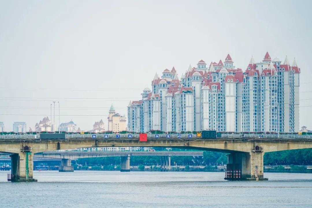 在南浦大桥,江风温柔拂面在桥上南浦岛最美的景致番禺南浦岛鸟瞰图