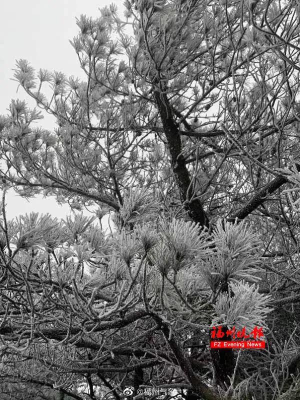 好冷!今早,福州下雪了!厦门有地方结冰了!_手机新浪网