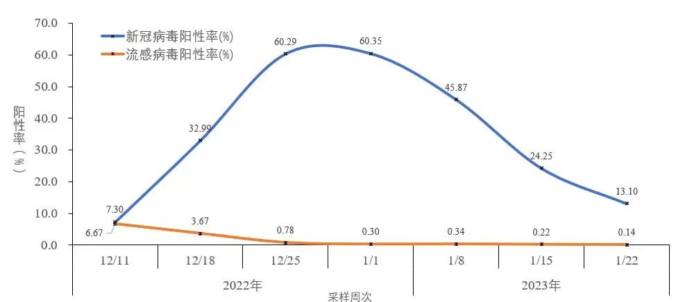 图2-5  全国哨点医院流感样病例新冠和流感病毒阳性率变化趋势 （数据来源于402家网络实验室）