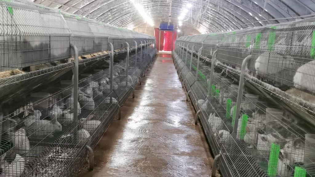 图为母子龙的兔舍.(受访者供图)